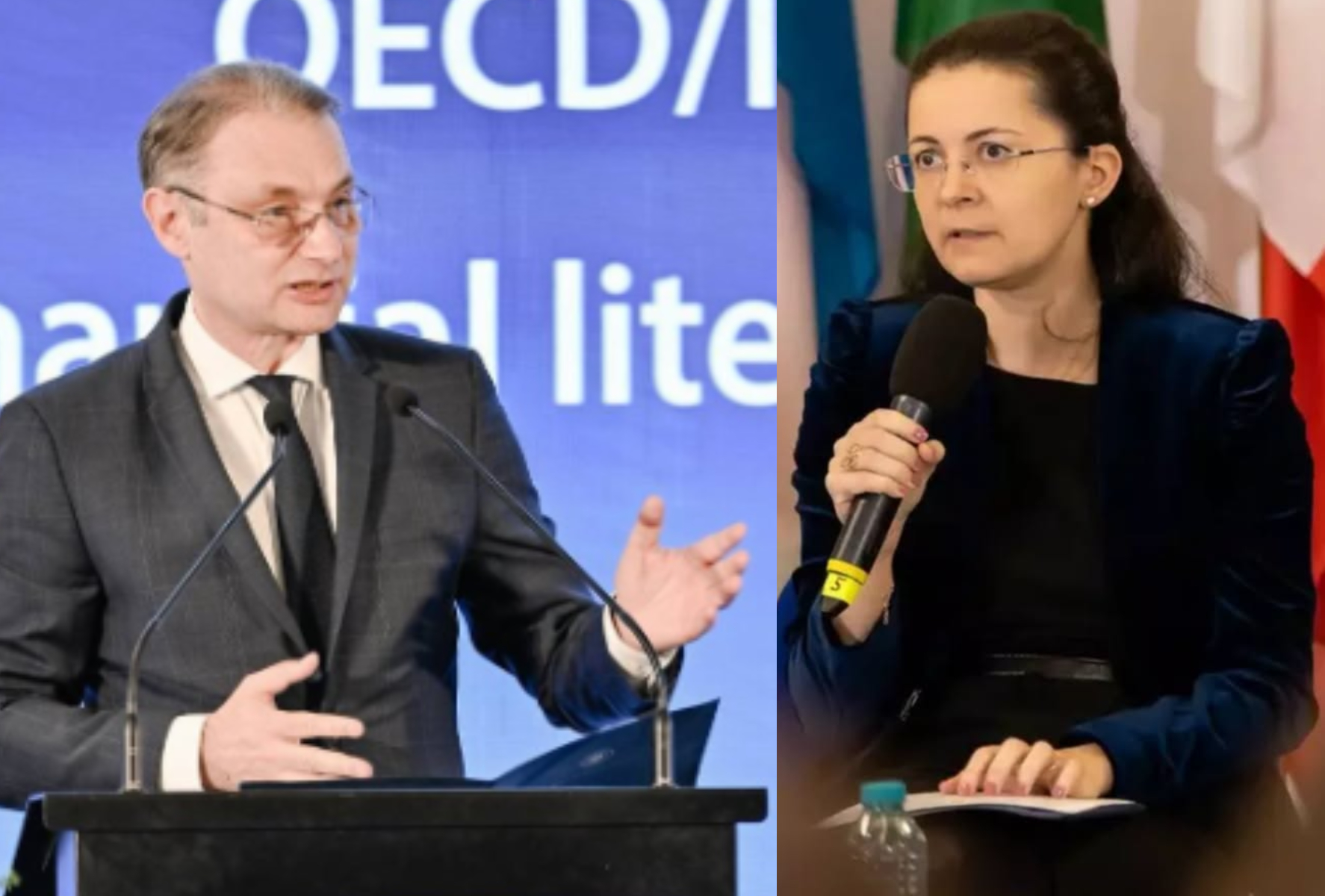 Cine este Mihaela-Ilincuța Ștefan-Simion, noua șefă de cabinet a premierului Luca Niculescu Grad de ambasador și venituri de peste 126.000 de lei într-un an